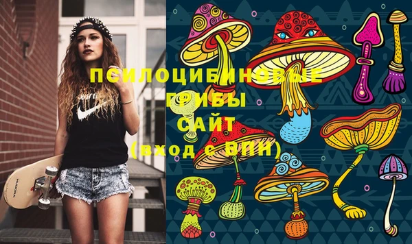 МДПВ Богородицк