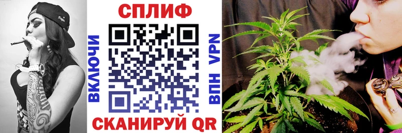 Марихуана OG Kush Истра